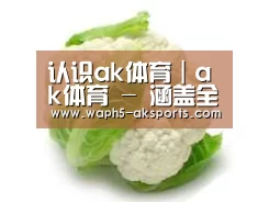 产品名称九