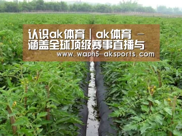 种植基地三