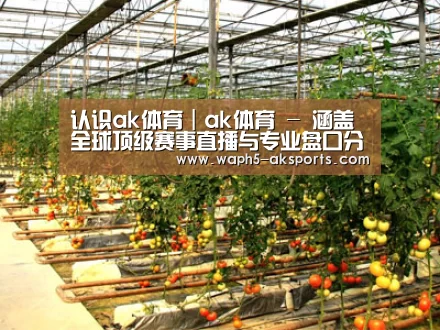 种植基地二(图1)