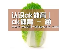 产品名称一(图1)