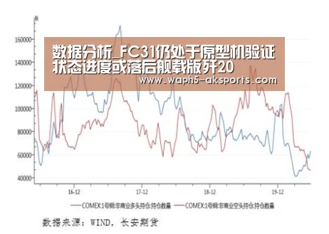 数据分析_FC31仍处于原型机验证状态进度或落后舰载版歼20(图4) 体育视频
