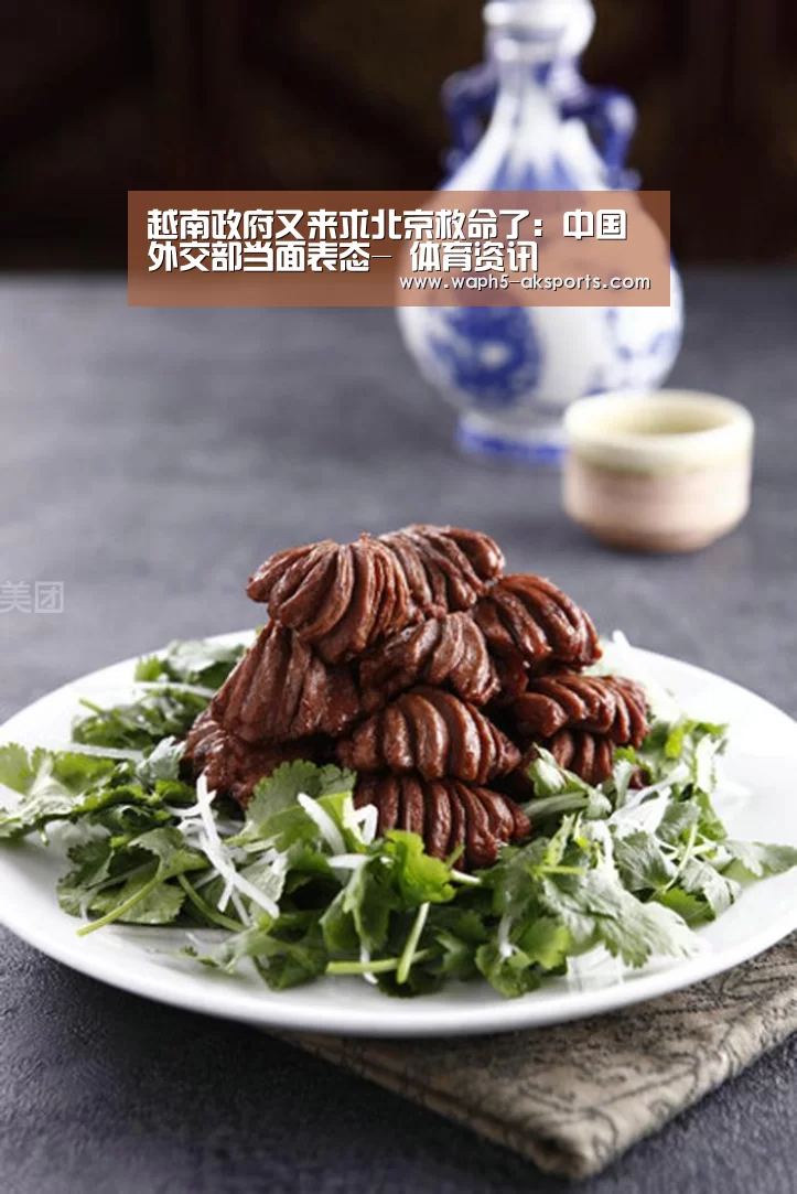 越南政府又来求北京救命了:中国外交部当面表态- 体育资讯(图1) 数据分析