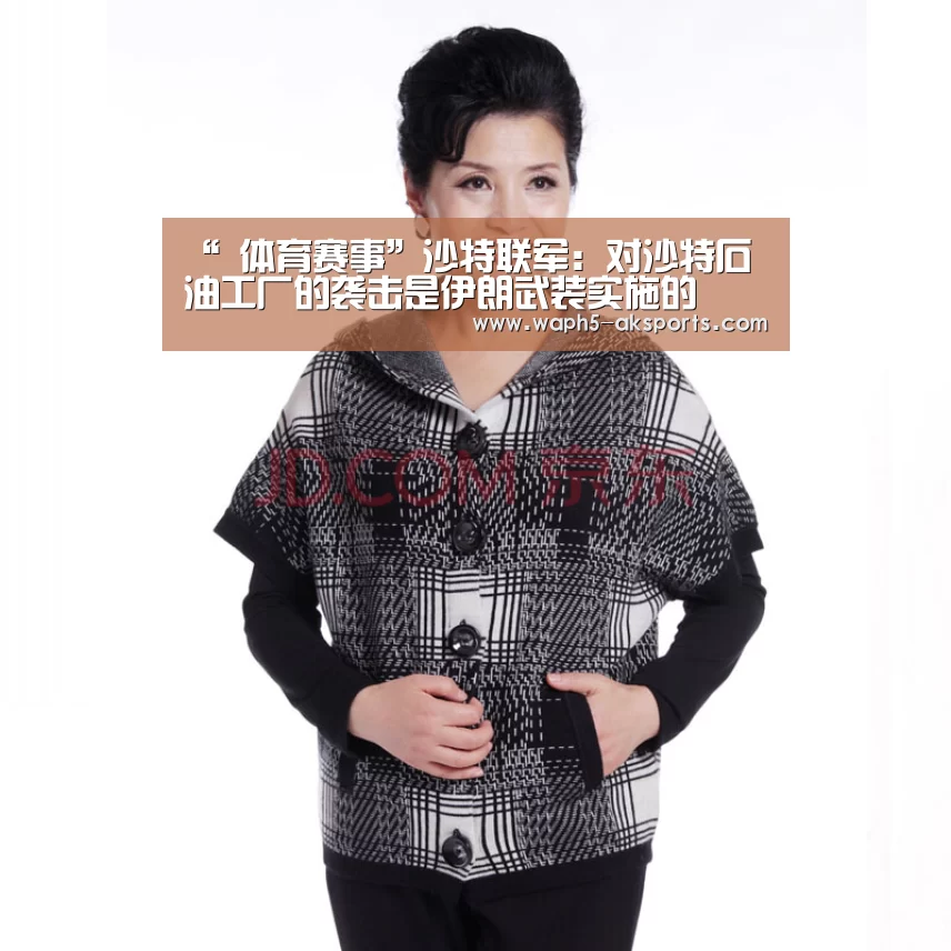 “ 体育赛事”沙特联军:对沙特石油工厂的袭击是伊朗武装实施的(图2) 观赛体验