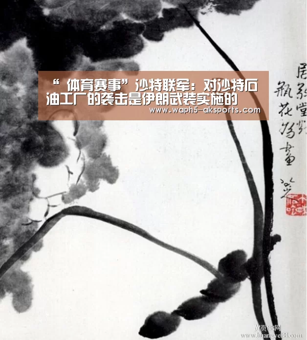 “ 体育赛事”沙特联军:对沙特石油工厂的袭击是伊朗武装实施的(图3) AK体育