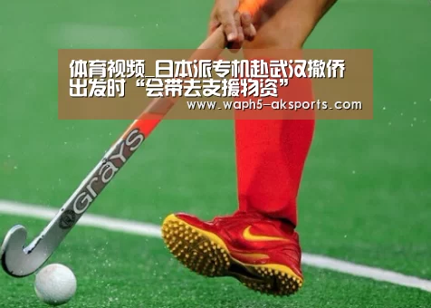 体育视频_日本派专机赴武汉撤侨出发时“会带去支援物资”(图1) 观赛体验