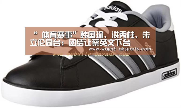 “ 体育赛事”韩国瑜、洪秀柱、朱立伦同台:团结让蔡英文下台(图2) 观赛体验