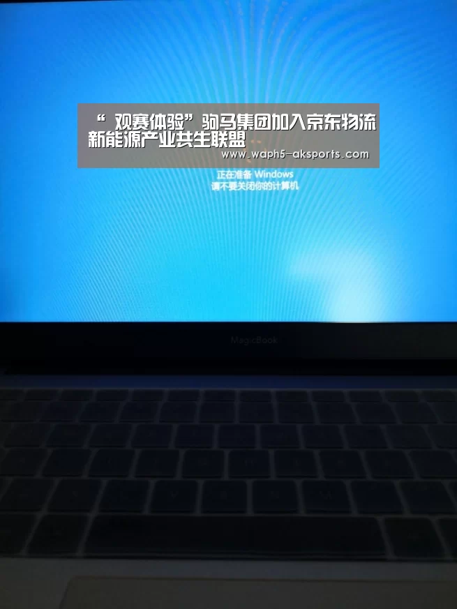  体育视频