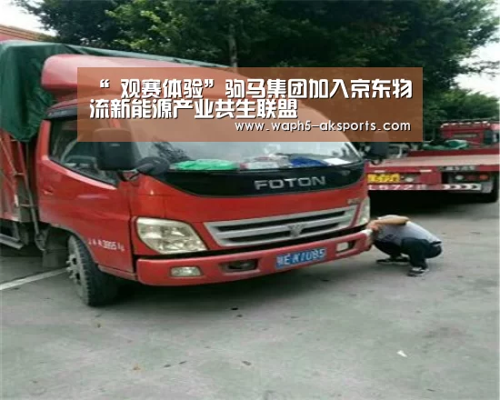  体育赛事
