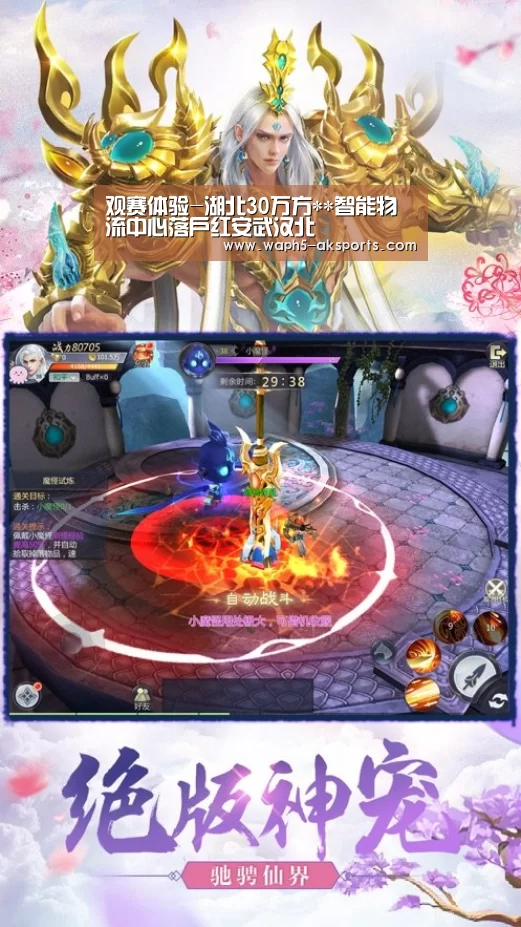 观赛体验-湖北30万方**智能物流中心落户红安武汉北(图4) AK体育