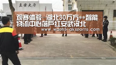 观赛体验-湖北30万方**智能物流中心落户红安武汉北(图2) 体育视频