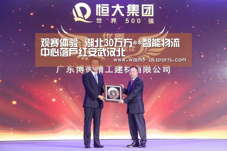 观赛体验-湖北30万方**智能物流中心落户红安武汉北(图1) 体育赛事